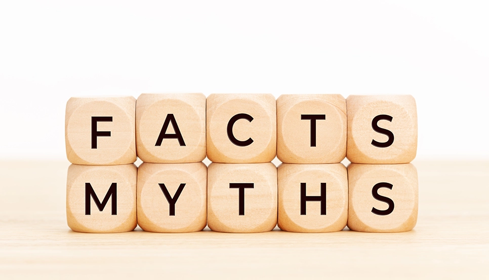 Shattering Common Myths About Windshields